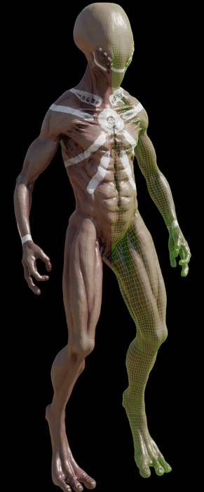Alien mesh showcasing wireframe with quads.